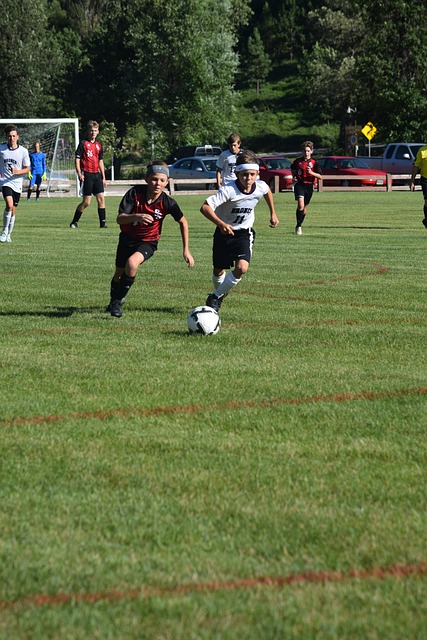 了纽约尼克 了纽约尼克