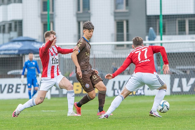 这无疑提高 这无疑提高