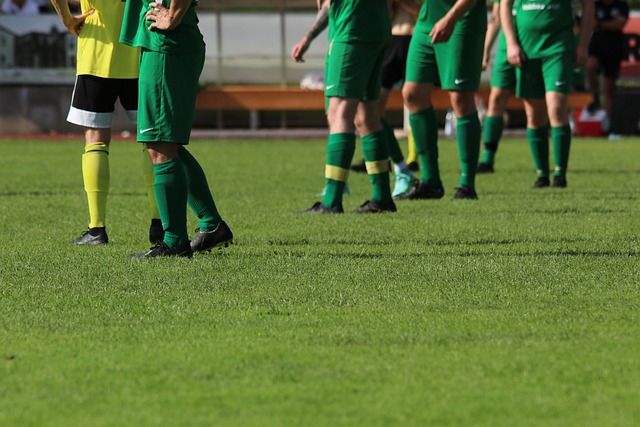 姆斯对于湖 姆斯对于湖