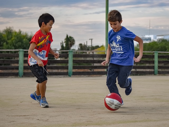 缅甸作为东 缅甸作为东