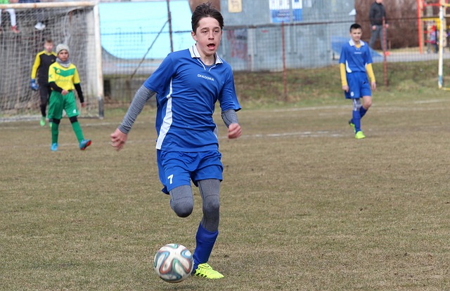 是为了在未 是为了在未