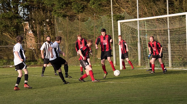 区重要的冰 区重要的冰