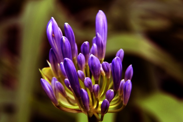 8连败遭克制，太阳基本掉队！杜兰特19中7疲态尽显4劣势难冲前10.