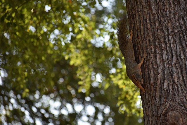 涯诱惑与挑 涯诱惑与挑