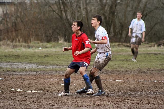 成因及其影 成因及其影