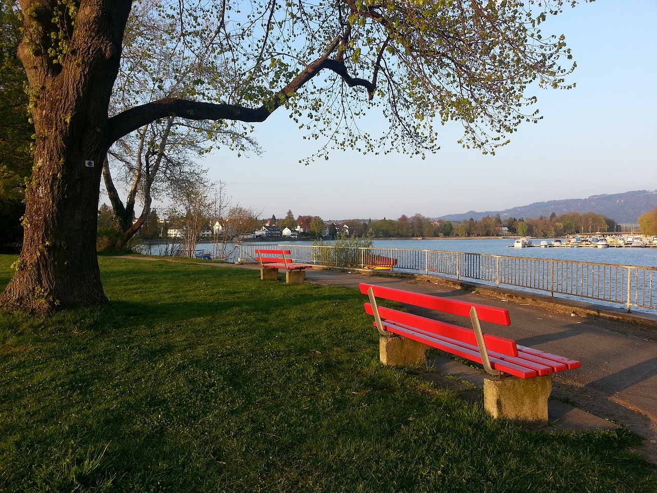 组考量的重 组考量的重