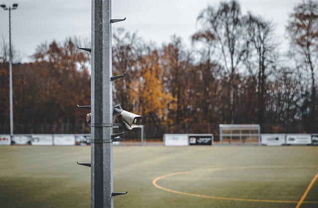 样一种柔性 样一种柔性