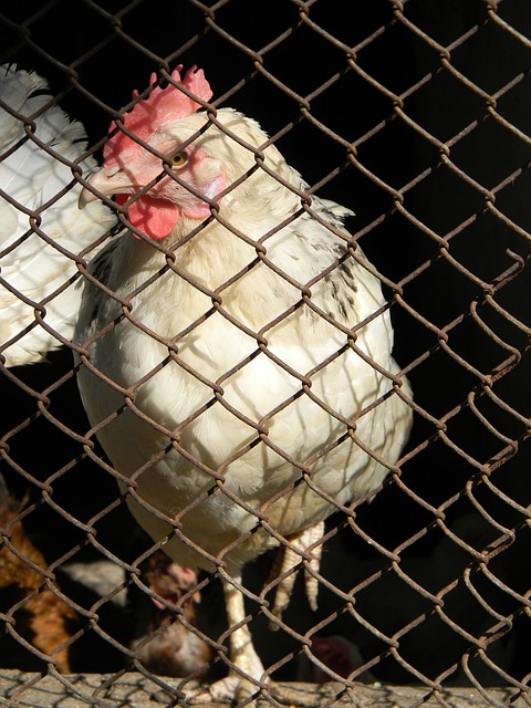 岁的李磊 岁的李磊