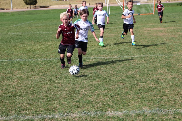 上有着很多 上有着很多