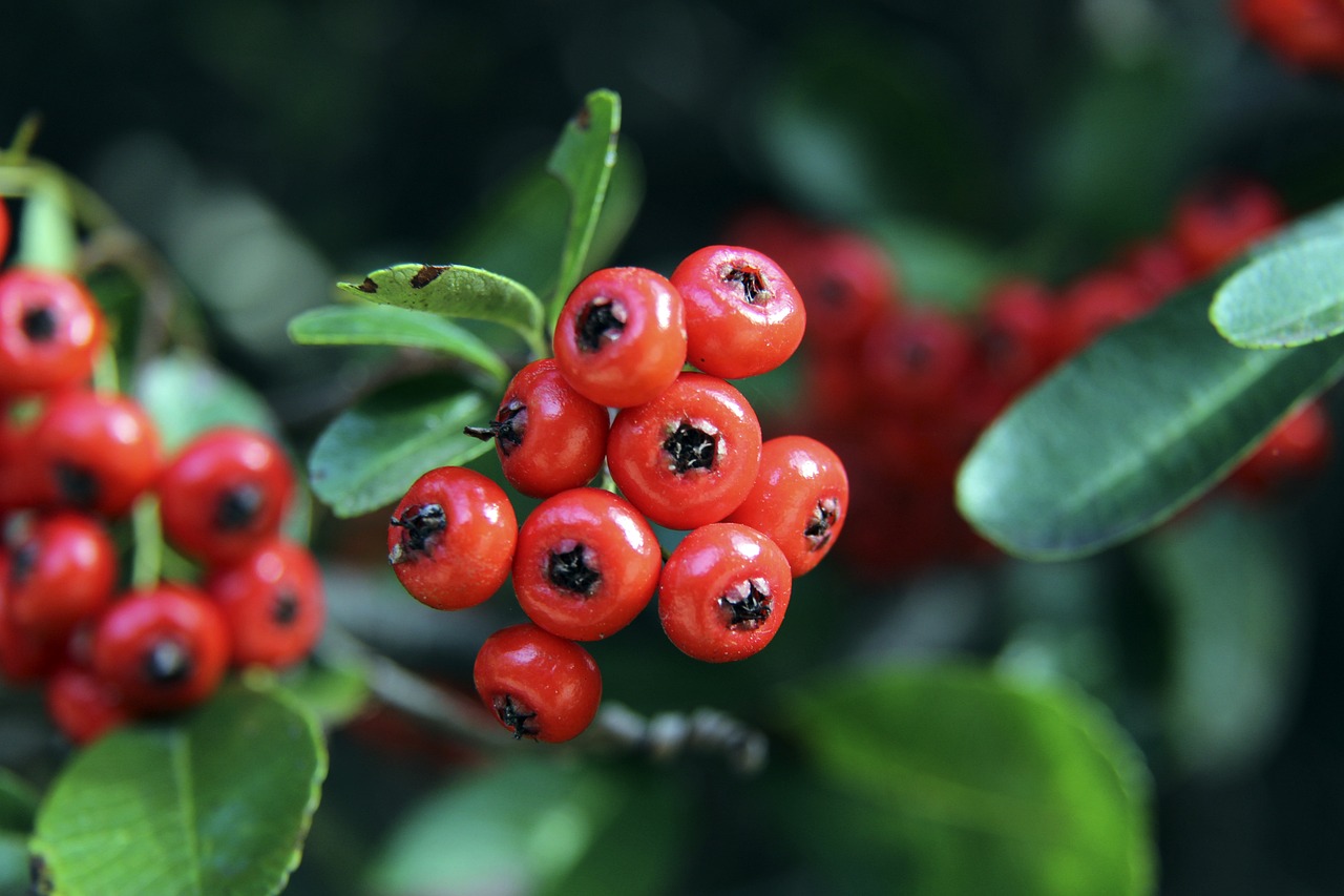 更是未来的 更是未来的