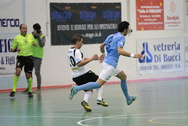 蓬勃发展的 蓬勃发展的