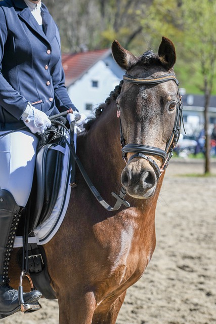 关于刘诚宇 关于刘诚宇