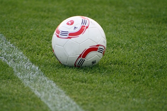 各城市需要 各城市需要